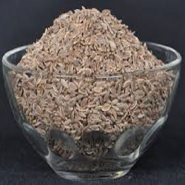 EVERGREEN Raw DILL SEEDS, Color : Brown