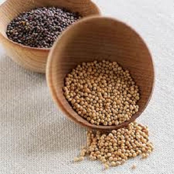 Mustard Seeds, Certification : FDA, Spices Board