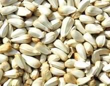 EVERGREEN Safflower Seed, Packaging Type : 25kgs