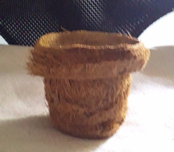 Coco fiber pots
