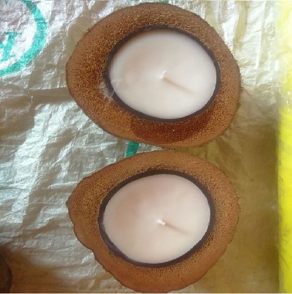 Coconut shell aromatic candles