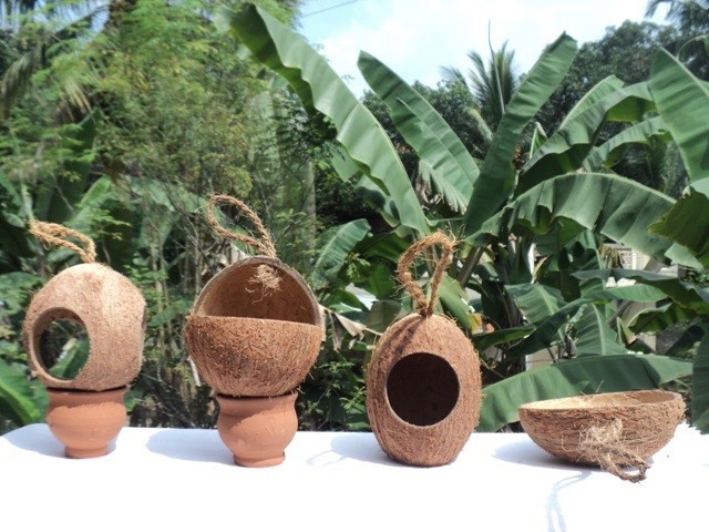 Coconut Shell Bird Feeder