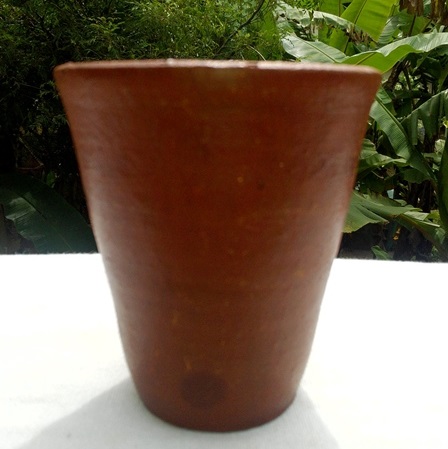 Eco friednly Clay Disposable Beaker