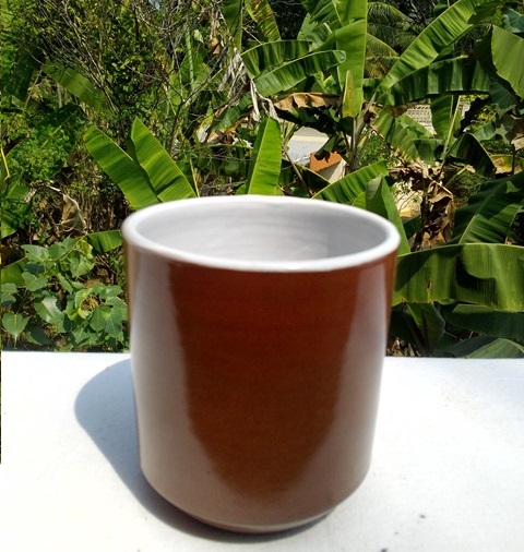 Eco friendly healthy Glazed Cup