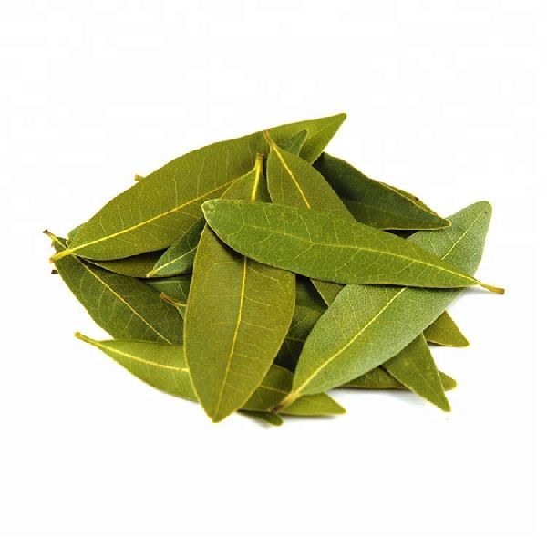 Dried Bay Leaves, Shelf Life : 2 Years