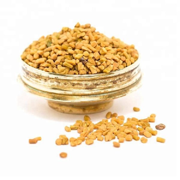 RiddhiFood Smoked fenugreek seeds, Certification : ISO, APEDA, IOPEPC