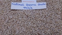 ECO 741 Common Sesame seed, Purity : 99.95
