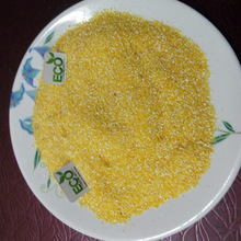 Common yellow maize grits, Certification : sgs, qss, apeda, iso