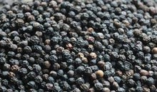 Black Pepper Whole