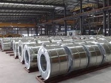 Hot Dipped Galvanized Coils, for Boiler Plate, Width : 400-1000