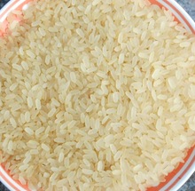 SAI Common Parboiled long grain Rice, Certification : SGS