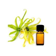 Cananga Essential Oil