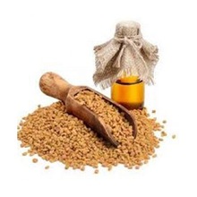 Coriander Seed Essential Oil