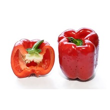 High Quality Capsicum Seed Extract