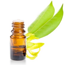 Natural Cananga Essential Oil