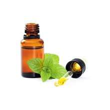  Natural Cornmint Essential Oil, Extraction Type : Solvent Extraction
