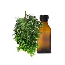 Natural Hinoki Essential Oil