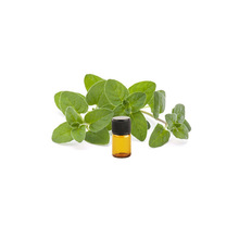 Natural Marjoram Essential Oil