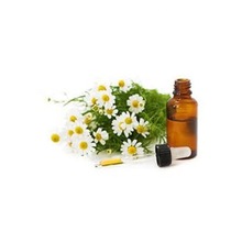 Pure AND Natural Chamomile Blue Oil, Certification : FDA, GMP, MSDS, SGS, ISO