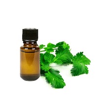 Pure and Natural Coriander Essential Oil