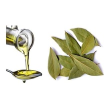 Pure Bay Leaf Essential Oil