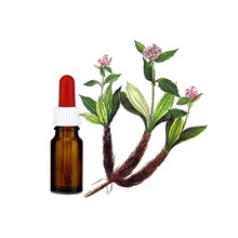 Spikenard Essential Oil