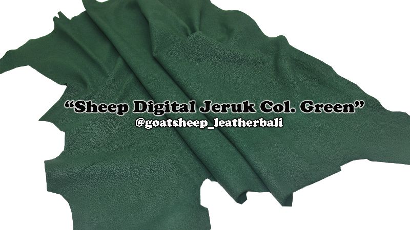 Sheep Digital Jeruk Col. Green