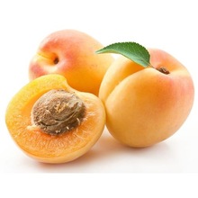AROMAAZ INTERNATIONAL Apricot Kernel Oil, Certification : CE, EEC, FDA, GMP, MSDS, HACCP, KOSHER, ISO, WHO