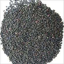 Babchi seed oil, Form : Liquid