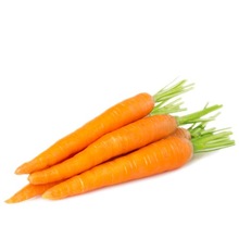 Carrot Seed Oil