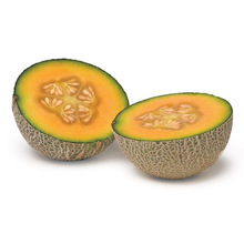 Muskmelon oil