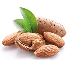 Sweet Almond Aromatherapy Oil