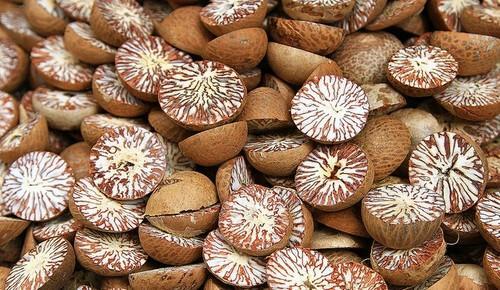 betel nut