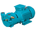 Liquid ring vacuum pump, Power : Electric