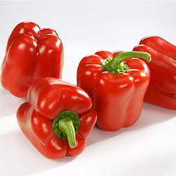 Capsicum Oleoresin