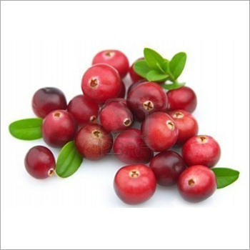 Craneberry Extract