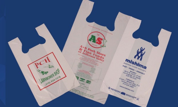 Printed Non Woven Bags, Size : Multisize