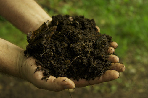 Organic fertilizer, for Agriculture, Soil Application, Purity : 100%