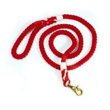 Nautical Leash and Bandana