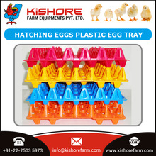Durable Plastic Egg Tray