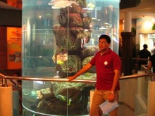 Commercial Aquarium