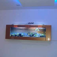 Plasma Photo Frame Aquarium