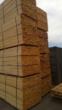 Pine Timber Wood