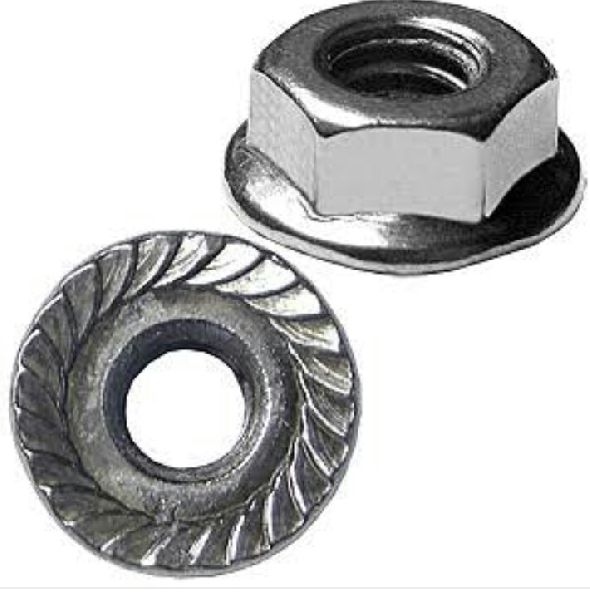 Stainless Steel Flange Nut, Size : Multisizes