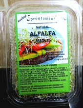 Alfalfa Sprouts