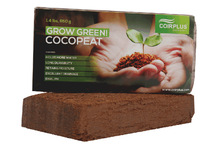 Cocopeat block