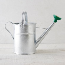 Iron Metal Plant Watering Can, Color : Custom