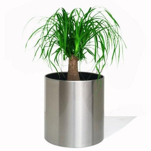 Round Steel Flower Pot, for Growing Plant, Pattern : Plain