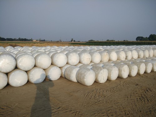 Silage Wrap Films