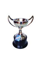 Award cup trophy with wooden base